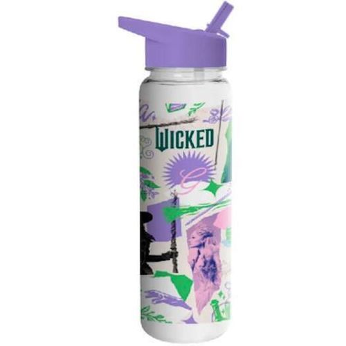 купить Бутылочка для воды Pyramid International PDB2500594 Wicked E&G в Кишинёве 