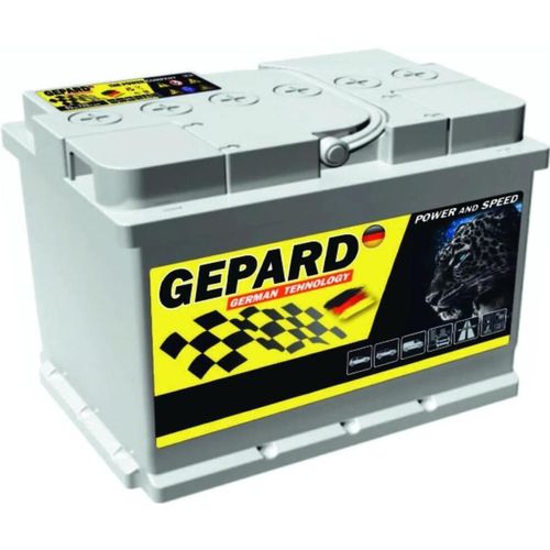 cumpără Acumulator auto Gepard Silver 75 AH Japan 770A (260x173x220) în Chișinău 