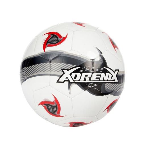 купить Мяч Toi-Toys 62223Z Minge de fotbal №5 Adrenix , 4 modele в Кишинёве 