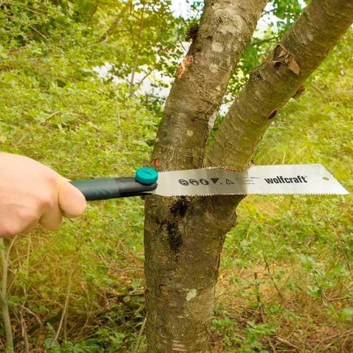 cumpără Fierăstrău manual Wolfcraft 6951000 Ferastrau japonez în Chișinău 