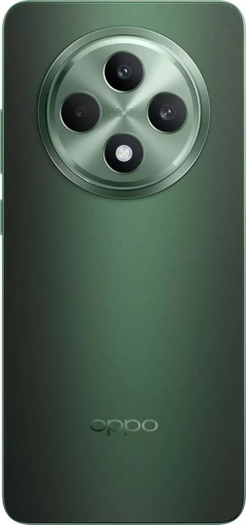 купить Смартфон OPPO Reno 12 FS 5G 12/512GB Black Green в Кишинёве 