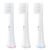 Accesoriu perie de dinți Infly 3 pcs packed brushhead(P60)