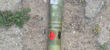 Topic Image