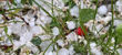 Topic Image