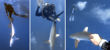 Topic Image