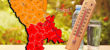 Topic Image